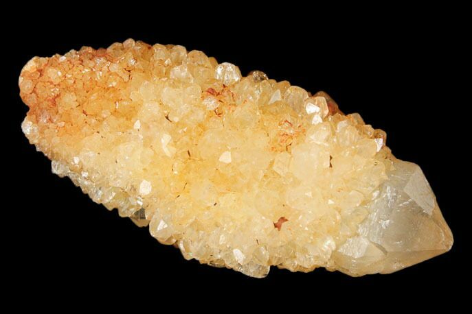 Sunshine Cactus Quartz Crystal - South Africa #122322